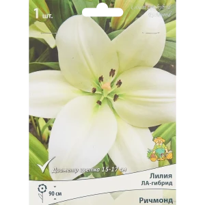 Лилия ла-гибрид Ричмонд 85186034 STLM-2177469