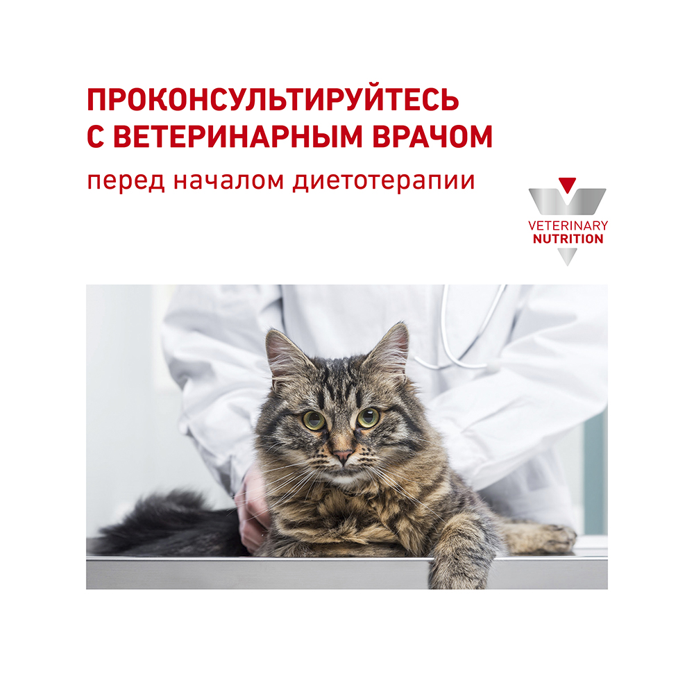 Т0055111 Корм для кошек Vet Diet Gastro Intestinal GI32 при нарушении пищеварения, птица сух. 2кг ROYAL CANIN  - Вид №9