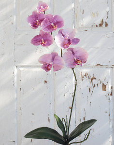 2526 220 a2 Искусственная орхидея Phalaenopsis, 73 см, real touch, светло-фиолетовый H-andreas