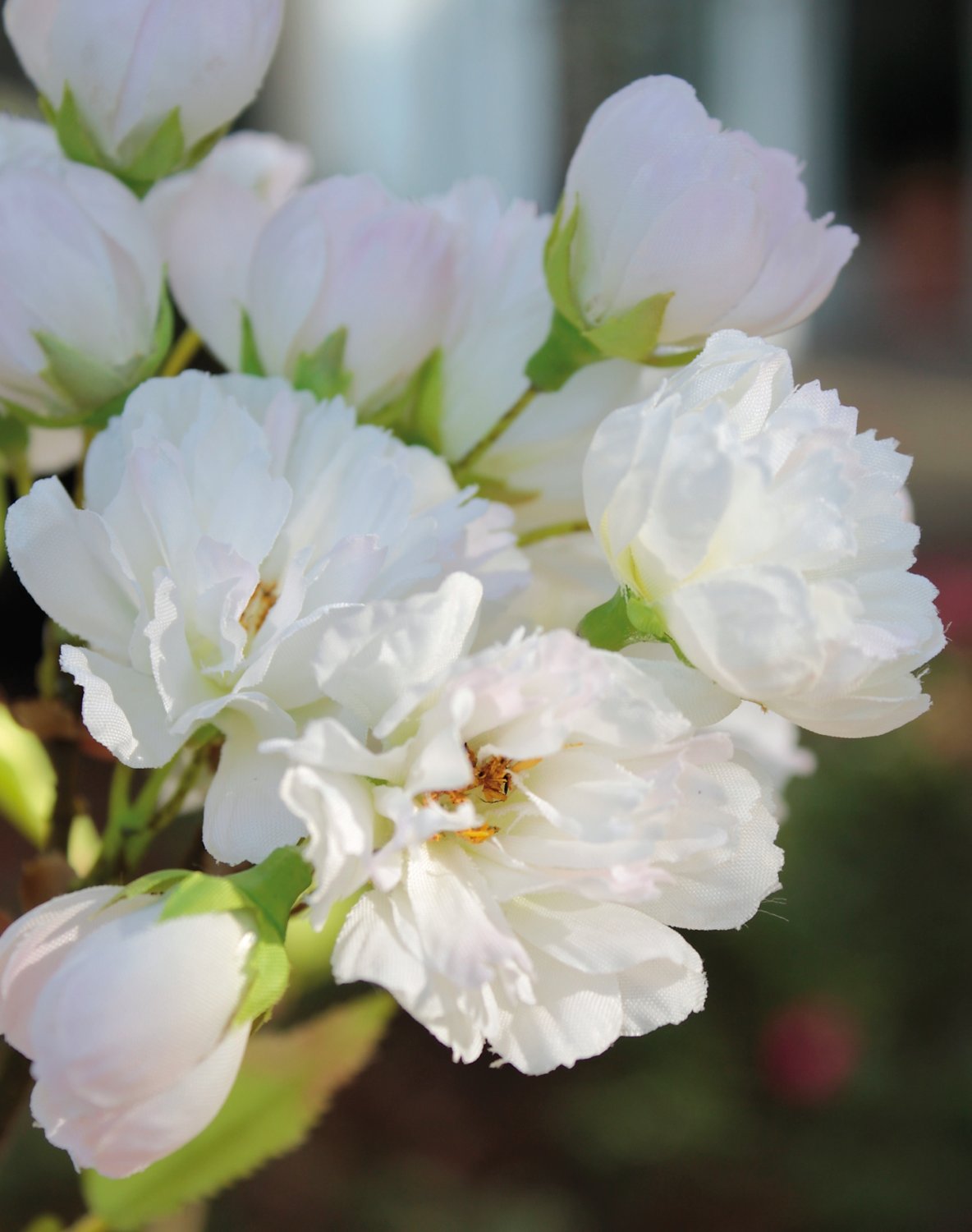 5505 778 a3 Искусственное дерево сакуры, в горшке, 168 см, бежево-белое H-andreas 