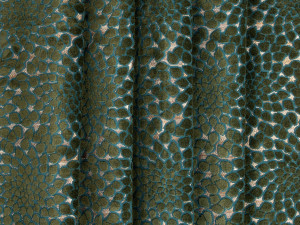 Вискоза и хлопчатобумажная ткань