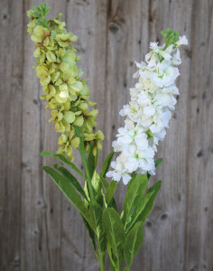 3197 778 a3 Ложа искусственная (маттиола), 83 см, бежево-белая H-andreas