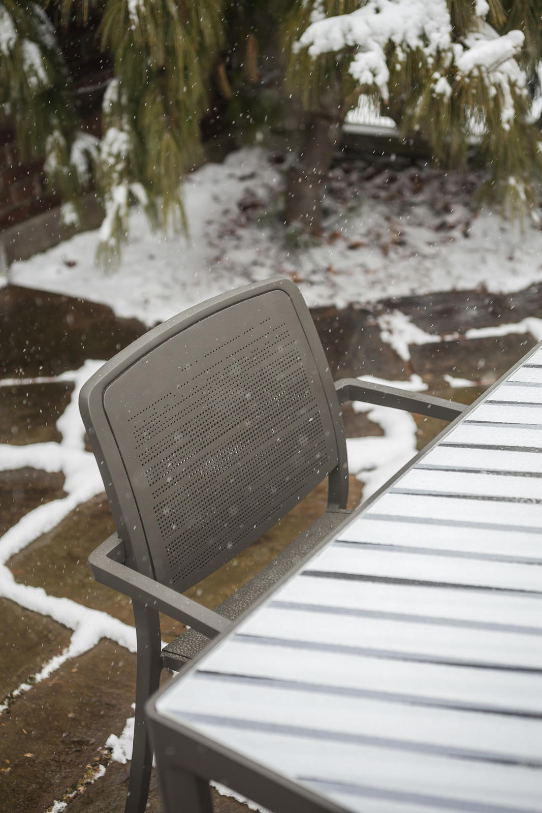 FSRT126 Кресло Avivo  Forms-surfaces  - Вид №10