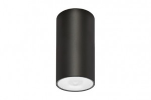 DST-86 Lens watertight ceiling-mounted Daisalux Светильники аварийные Черный