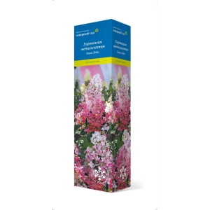 Гортензия метельчатая Пинк леди h37 см 83786948 STLM-2190242