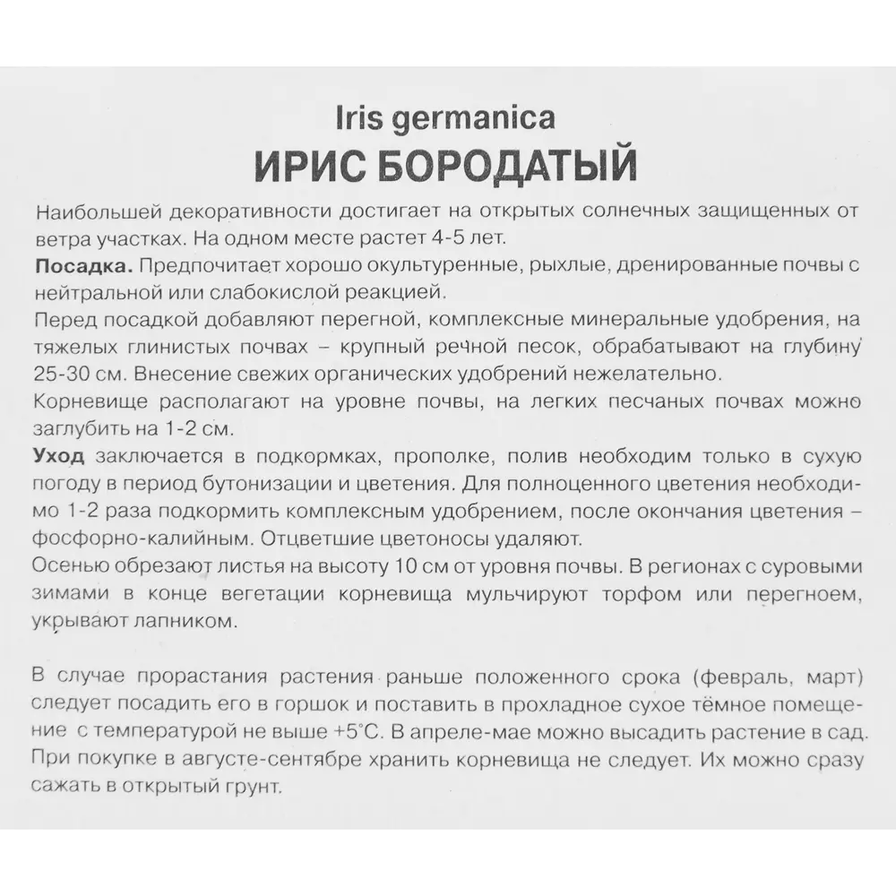 Ирис бородатый Бургунди Браун ПОИСК STLM-2106667 - Вид №2