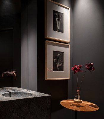 T39ELUS Встроенный полотенцесушитель vola  - Вид №4