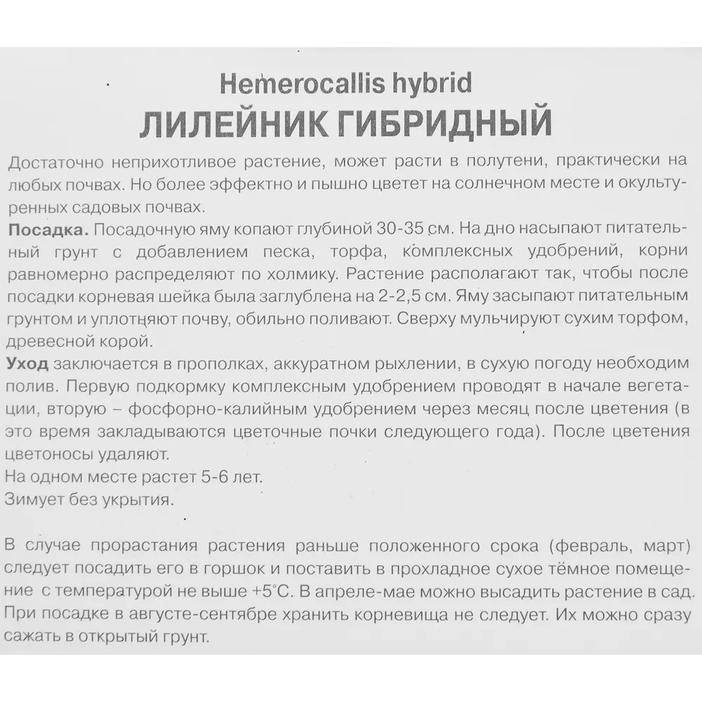 Лилейник гибридный Маклонго 85205698 STLM-2161921 ПОИСК  - Вид №2