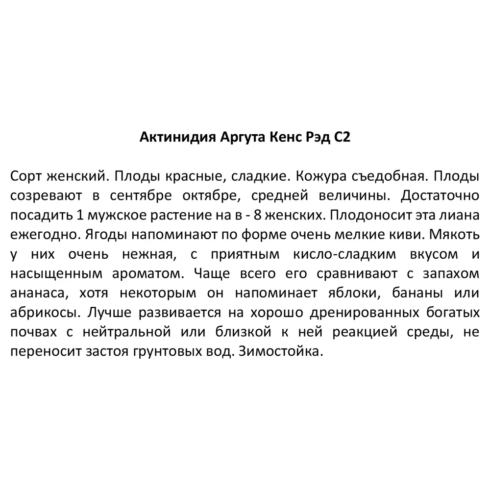 Santreyd Актинидия аргута Кенс Рэд - плодоносящая лиана для сада 85325512 STLM-0061606 - Вид №3