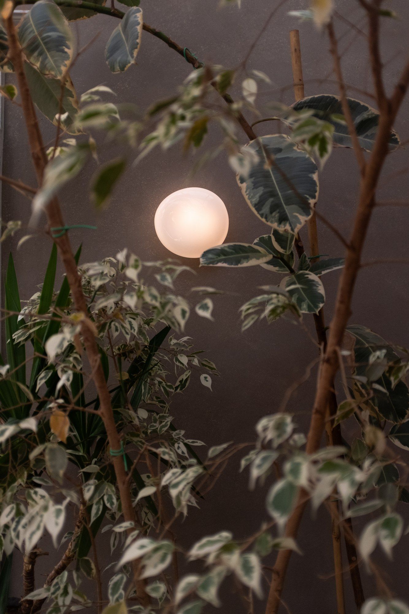 Стеклянный светодиодный настенный светильник A-N-D Pebble ARCH-00126425 - Вид №4