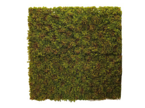 Внутренняя и наружная облицовка