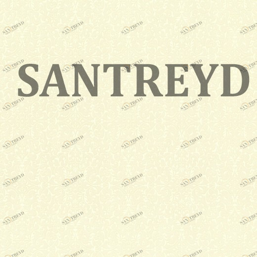 959611 Обои Rasch Maximum XV