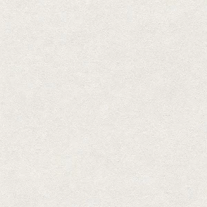 445800 Обои Rasch Factory III