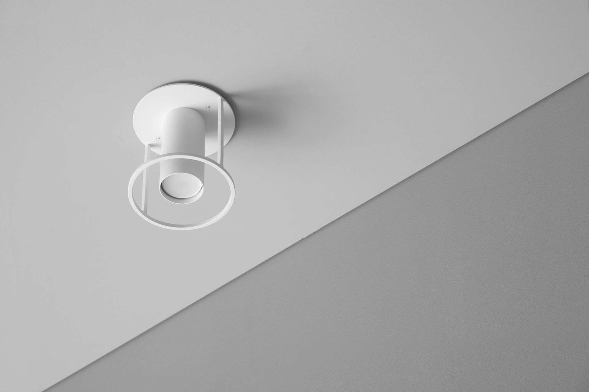 Потолок с порошковым покрытием стальной прожектор +kouple ARCHI ROUND ARCH-00009721 - Вид №1