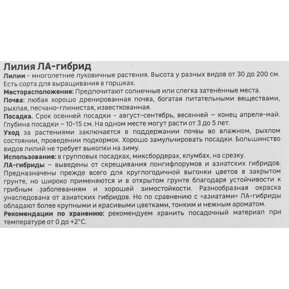 Лилия Geolia ла-гибрид Самур 86408633 STLM-2192270  - Вид №3