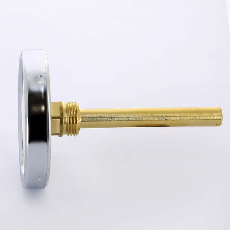 Термометр биметаллический F+R801 80мм с погружной гильзой WATTS Ind 120 град.C гильза 100мм 10005950 - Вид №1