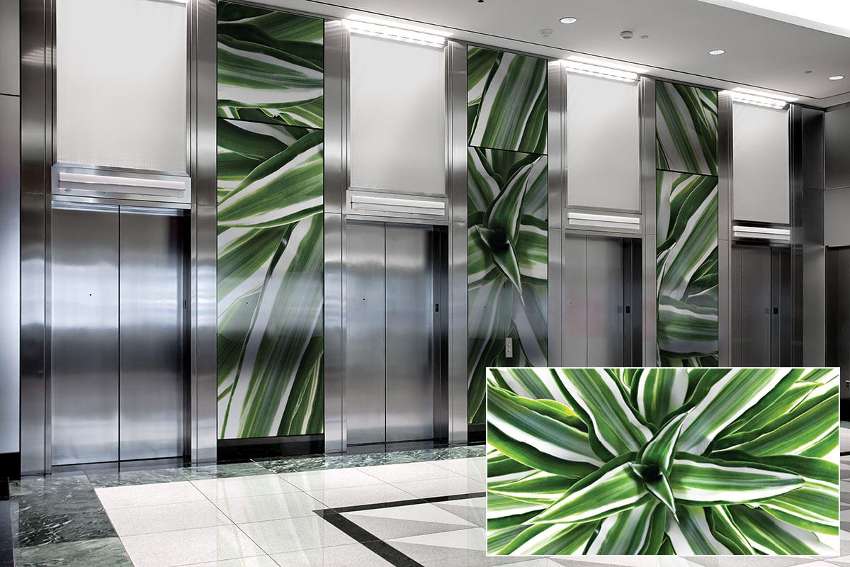 FSRT378 Бокал Vivispectra zoom с прослойками цитрусовых, романеско и капусты Forms-surfaces  - Вид №16