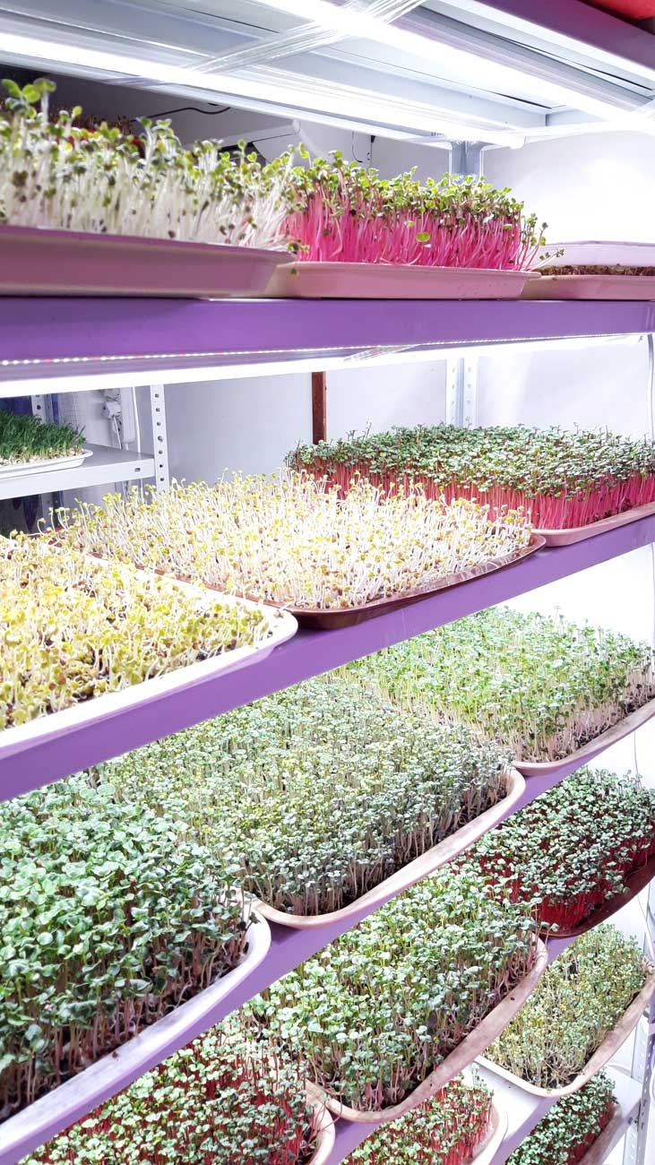 1036 Фитолампа для растений линейная VA-3 60 см Биколор комфорт 5000+660 LAB.Space  - Вид №8