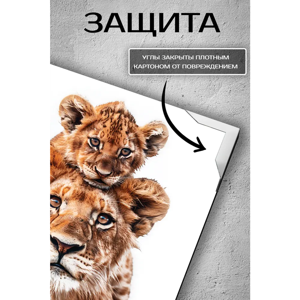 Картина Fbrush Львиная семья 30x30 см STLM-2039555 - Вид №2