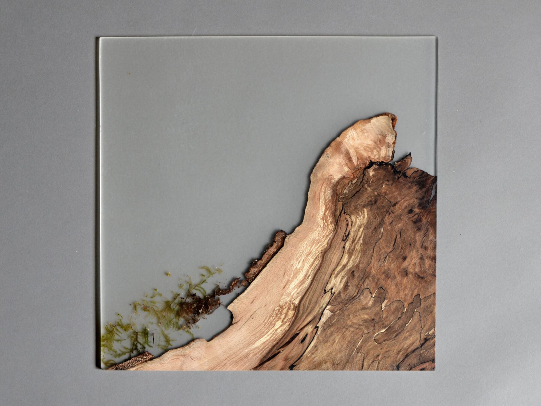 Рамка из массива дерева и смолы alcarol Undergrowth ARCH-00082208 - Вид №6