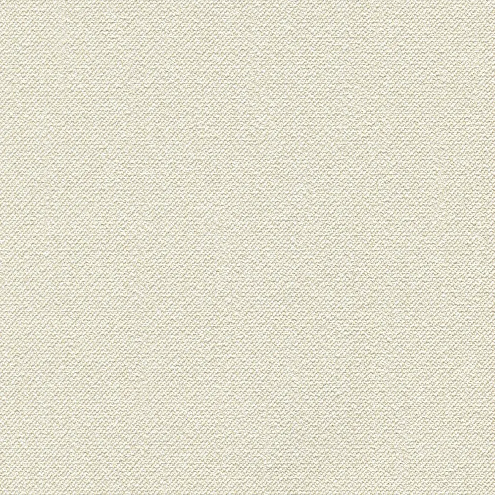 Обои флизелиновые Rasch New Wave бежевые 1.06 м 806007 STLM-2030414