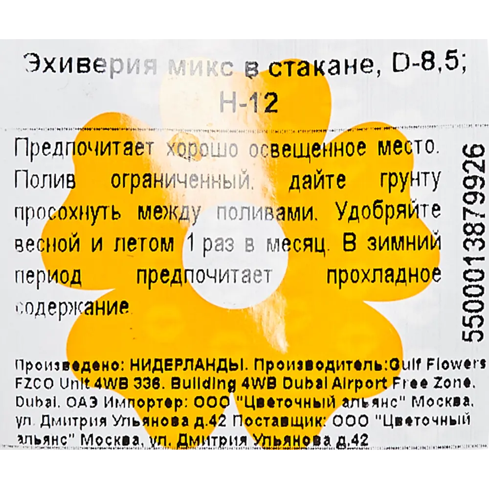 Эхеверия микс More Lips 9x12 см 82771297 STLM-2004546 MORELIPS  - Вид №2