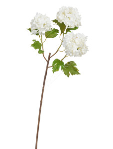 30.11170007WH Калина Бульдонеж (Вибурнум) белая ветка Цветочная коллекция