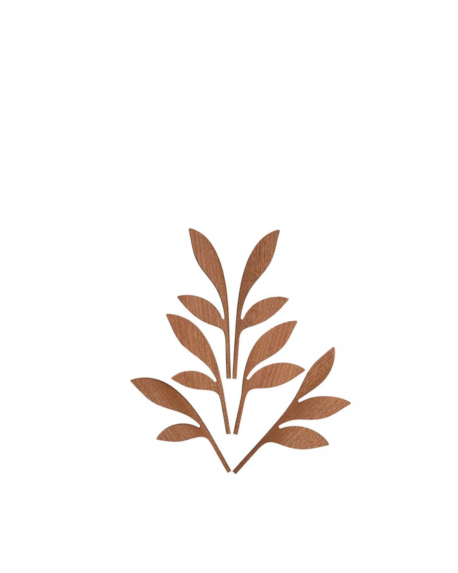 Выходит на диффузор. Аххх Алесси Пять сезонов Alessi MW64 2 F