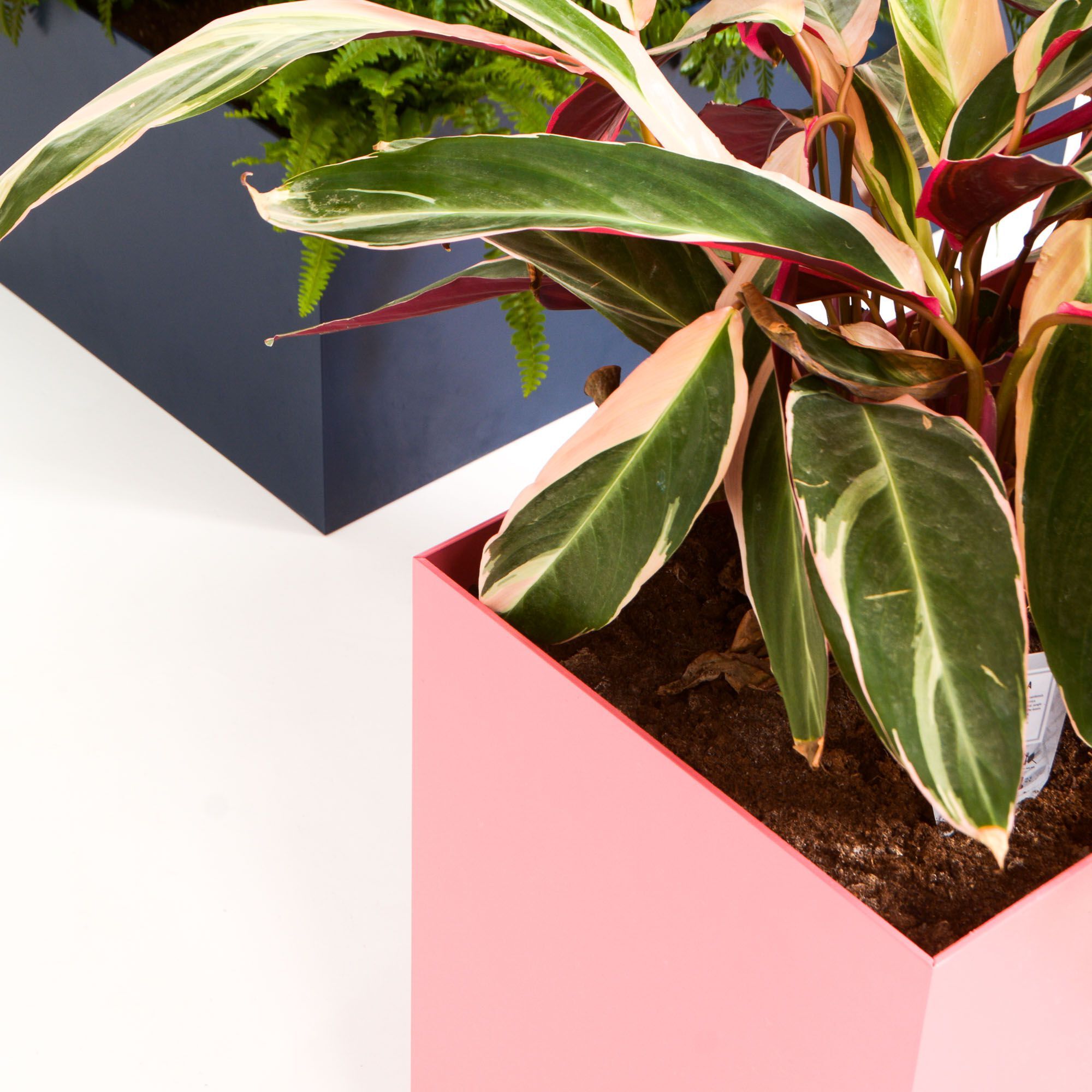 Высокая алюминиевая сеялка с порошковым покрытием SIXINCH PLANTER ARCH-00090881 - Вид №10