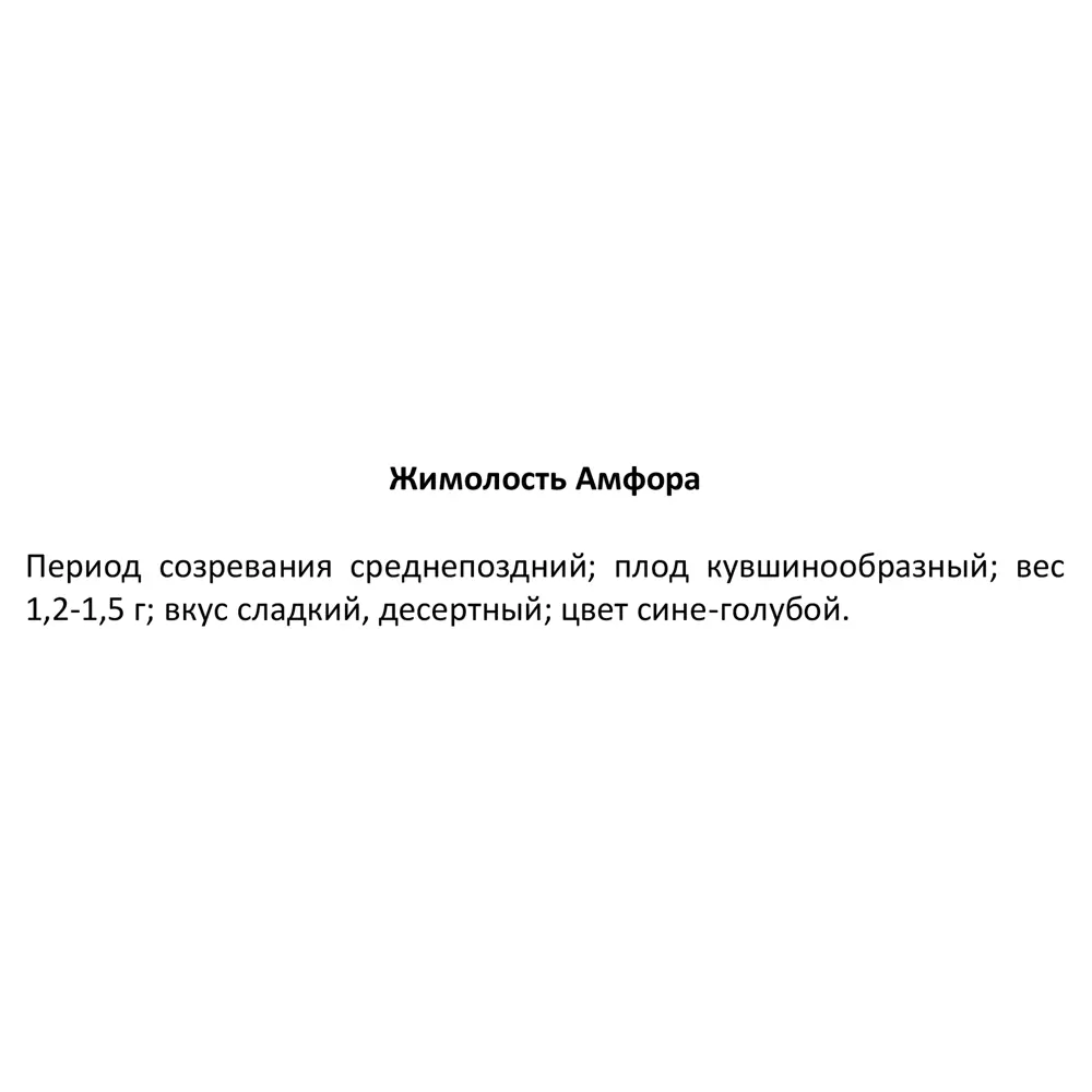 Жимолость C2 h80 см 83248970 STLM-2111236 Santreyd  - Вид №2