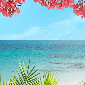 D2-002 Фотообои DIVINO Collection D 2.7х2 м