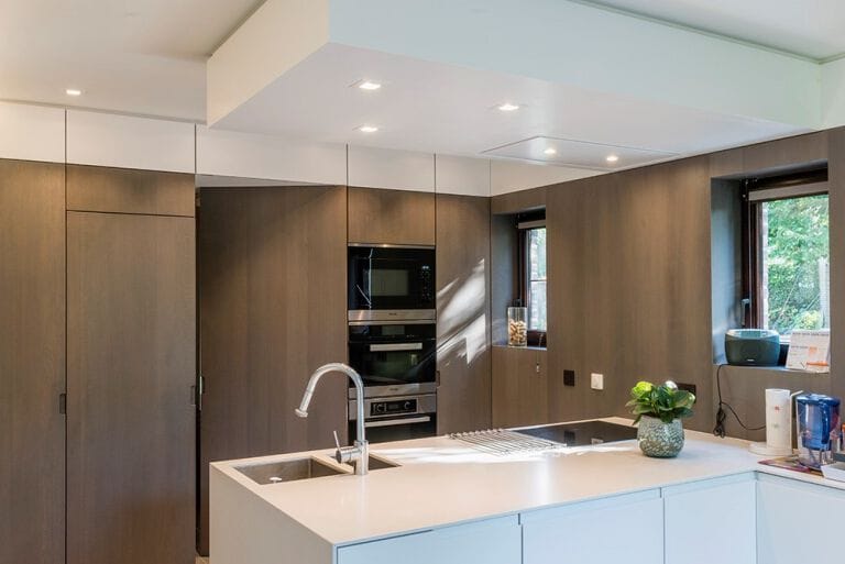 Дверная петля ARLU ARGENTA PIVOTICA ARCH-00049043 - Вид №1