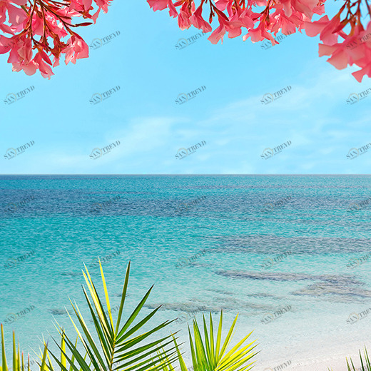 D1-002 Фотообои DIVINO Collection D 2.7х2 м D1002