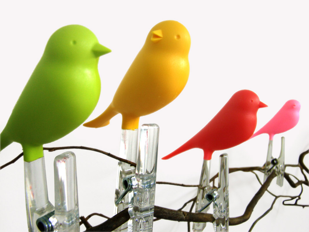 QL10066-GN Прищепки sparrow 4 шт. зеленые Qualy  - Вид №4