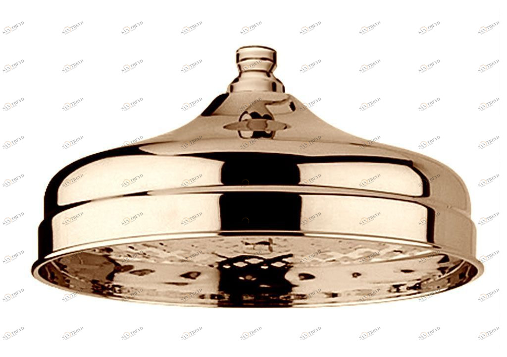 Верхний душ Paffoni Belinda ZSOF046BR 