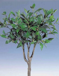 5140 883 a3 Искусственный лавр, 90 см, зеленый H-andreas 