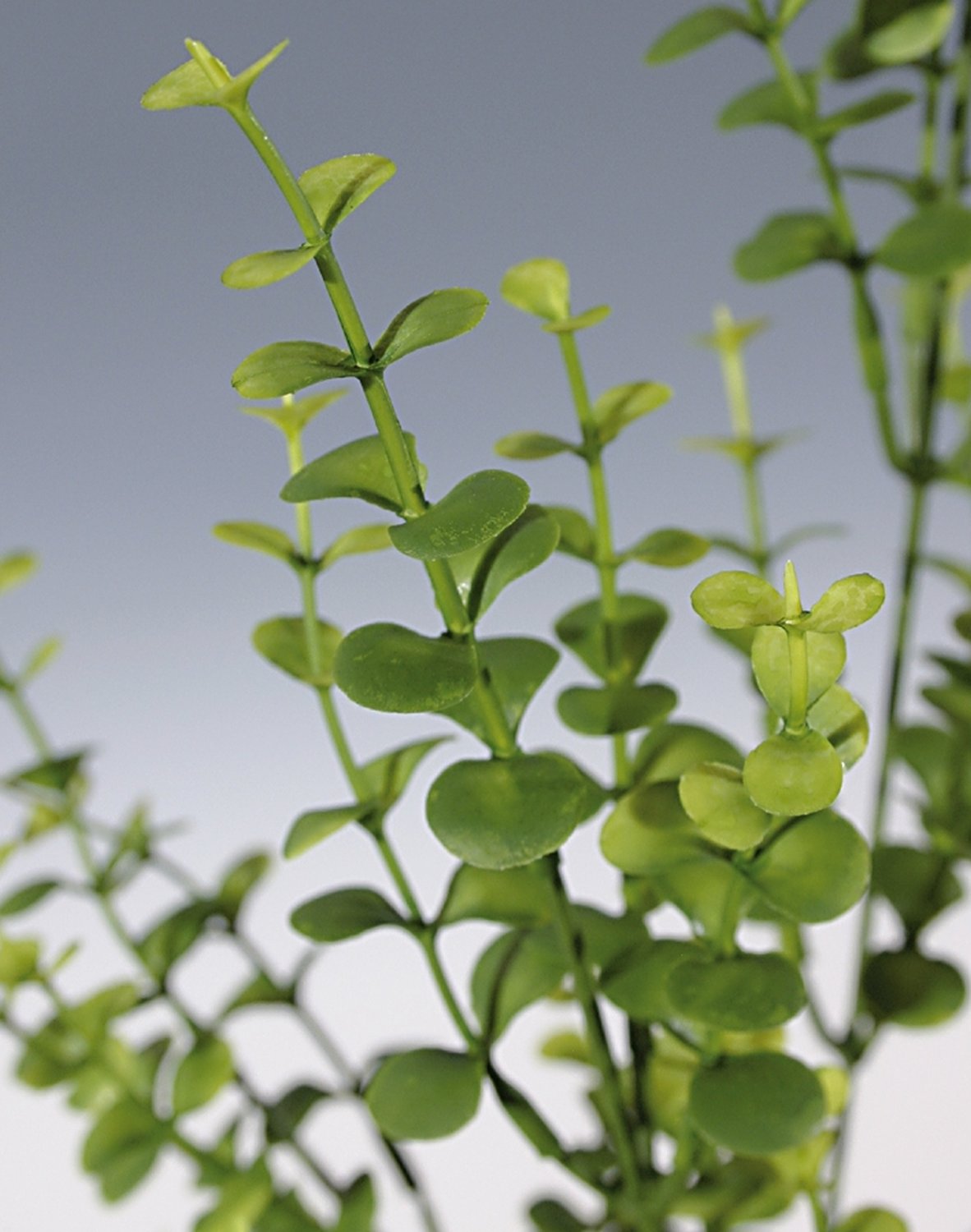 4832 810 a2 Искусственный эвкалиптовый спрей, синтетический материал, 60 см, светло-зеленый H-andreas 