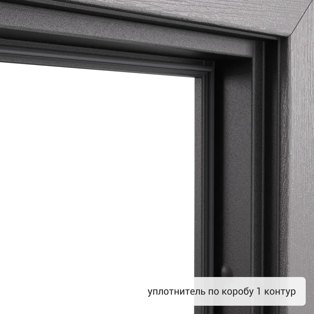 Дверь входная металлическая Хьюго 01 1000 мм левая TOREX STLM-2028376 - Вид №10