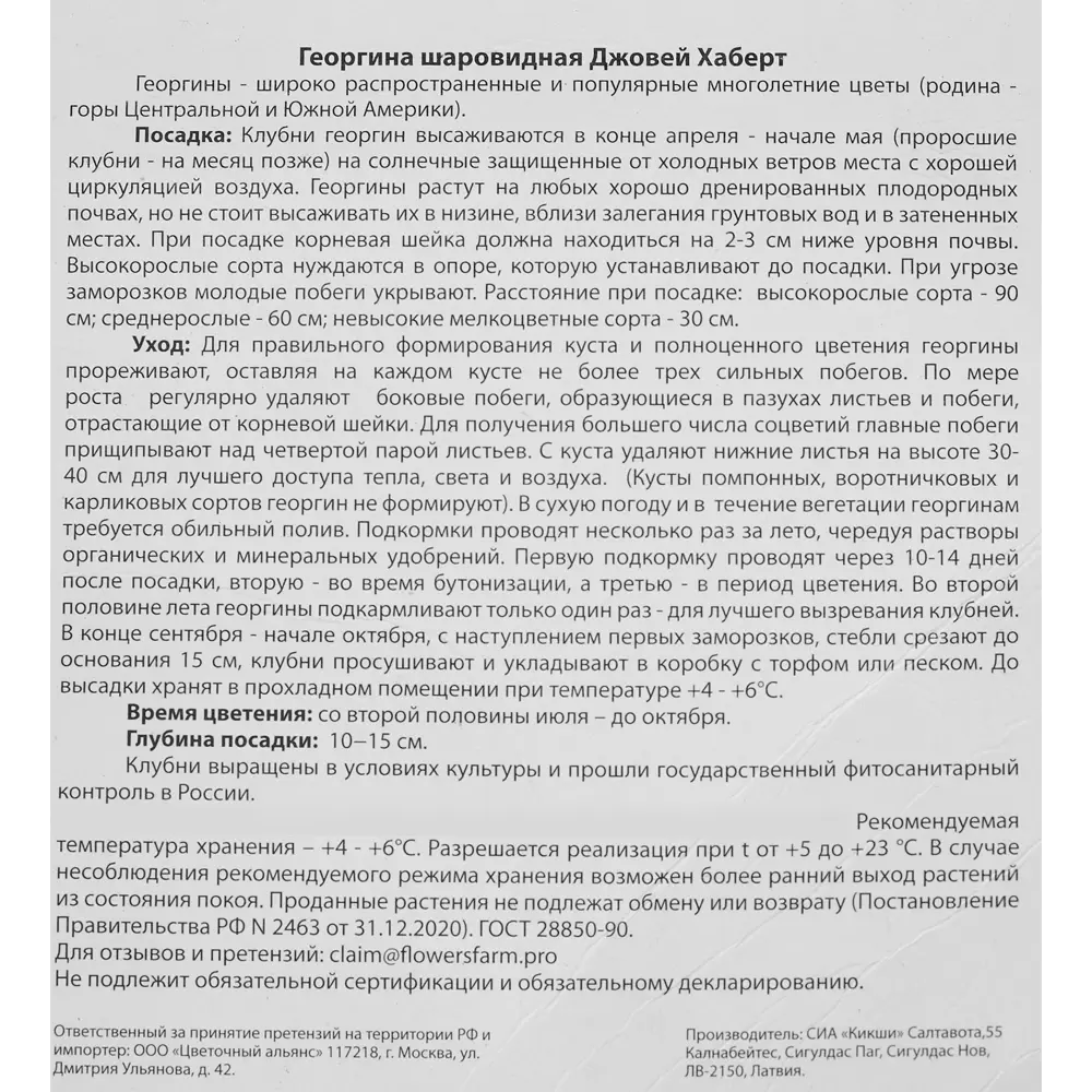 Георгина шаровидная Джовей Хаберт луковица I 83783686 STLM-2182696 Santreyd  - Вид №2