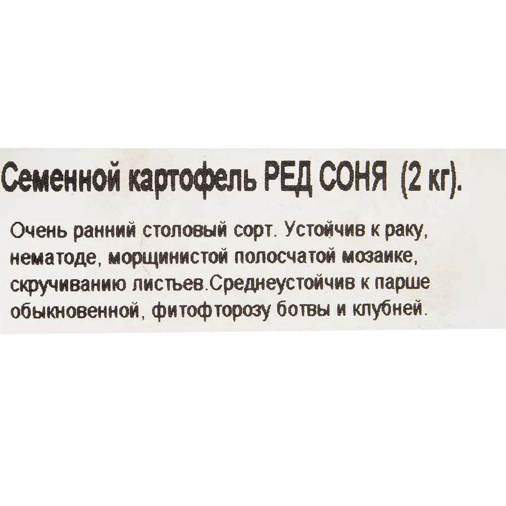 Картофель семенной «Ред Соня», 2 кг Santreyd STLM-2089208 - Вид №1