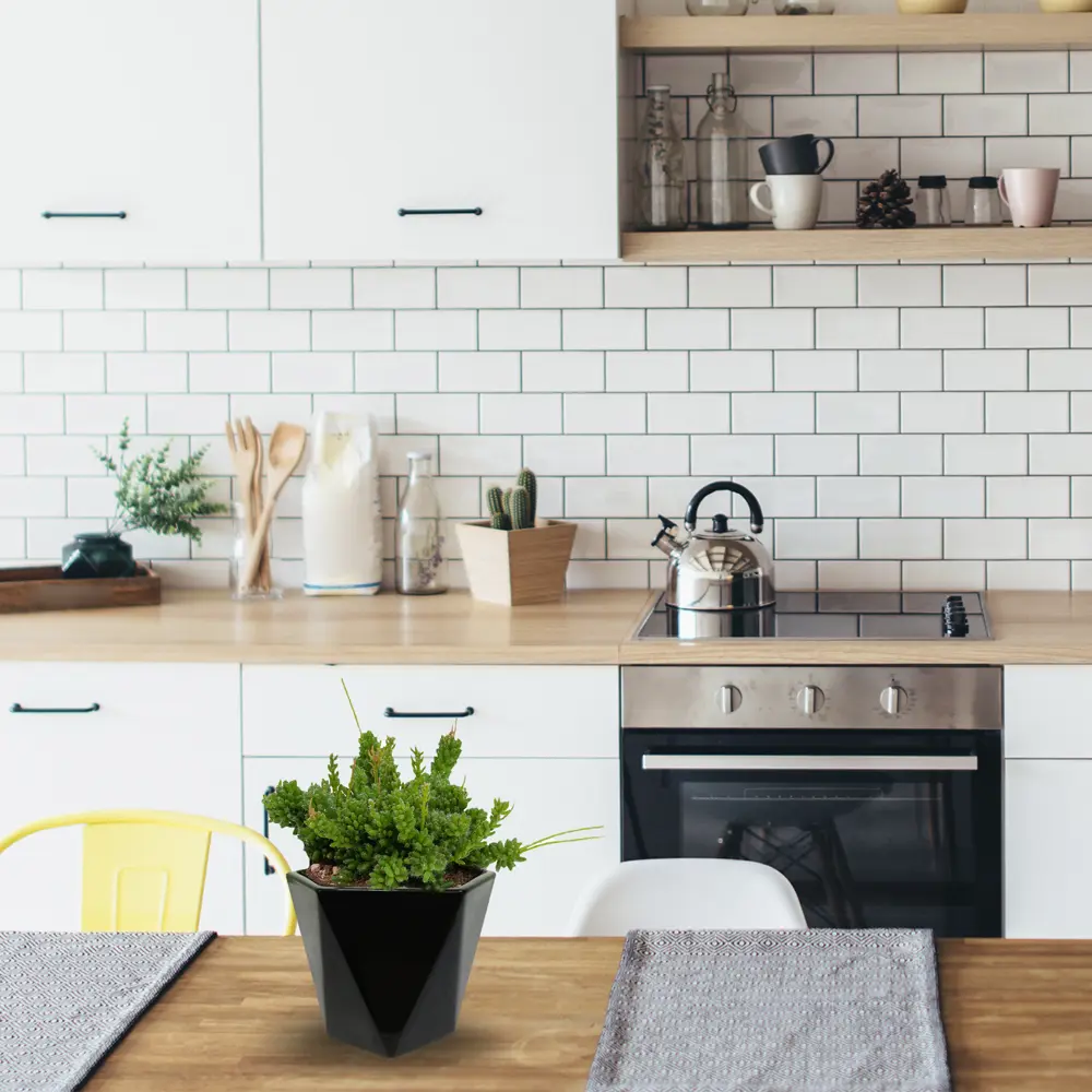 Кашпо для цветов ø8 h7 см v0.2 л глина чёрный Santreyd Кактусник STLM-2058279 - Вид №1