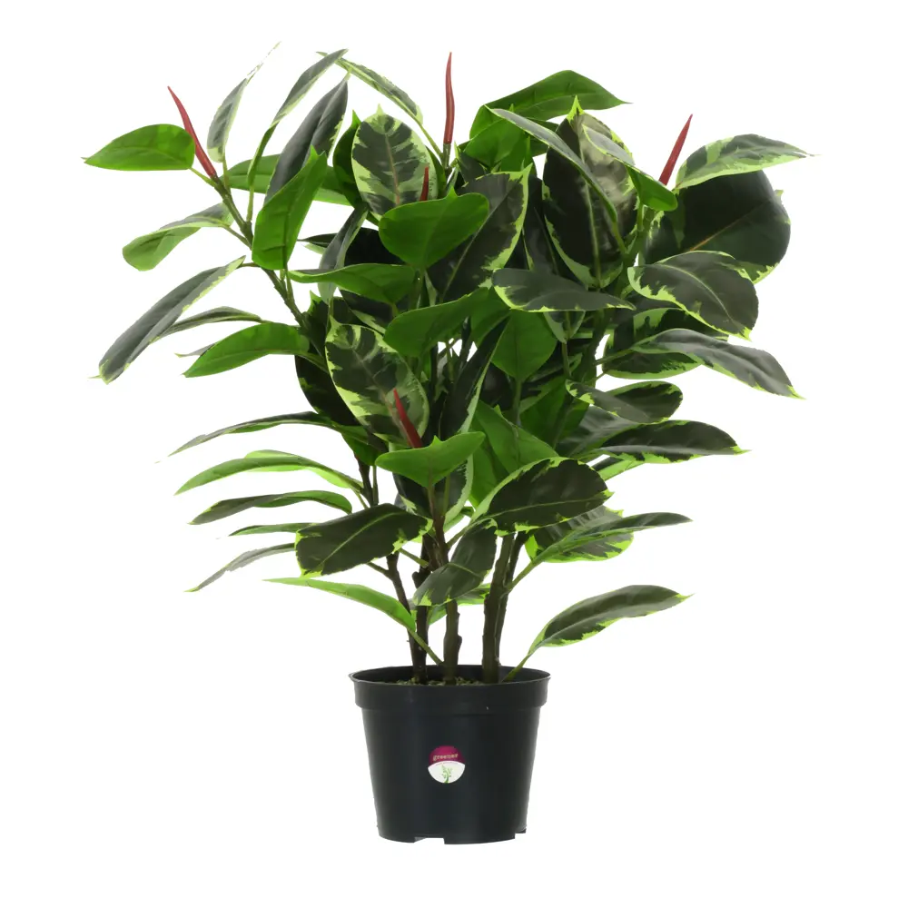 Искусственное растение Фикус Робуста ø17 h70 см Santreyd STLM-2087884