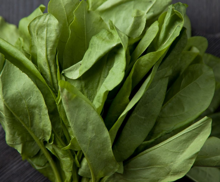 8471 Щавель 50г Вкусляндия  - Вид №1