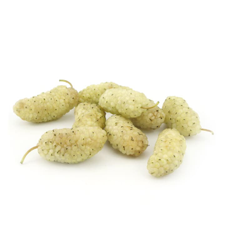 Шелковица белая Santreyd 4460 - Вид №1