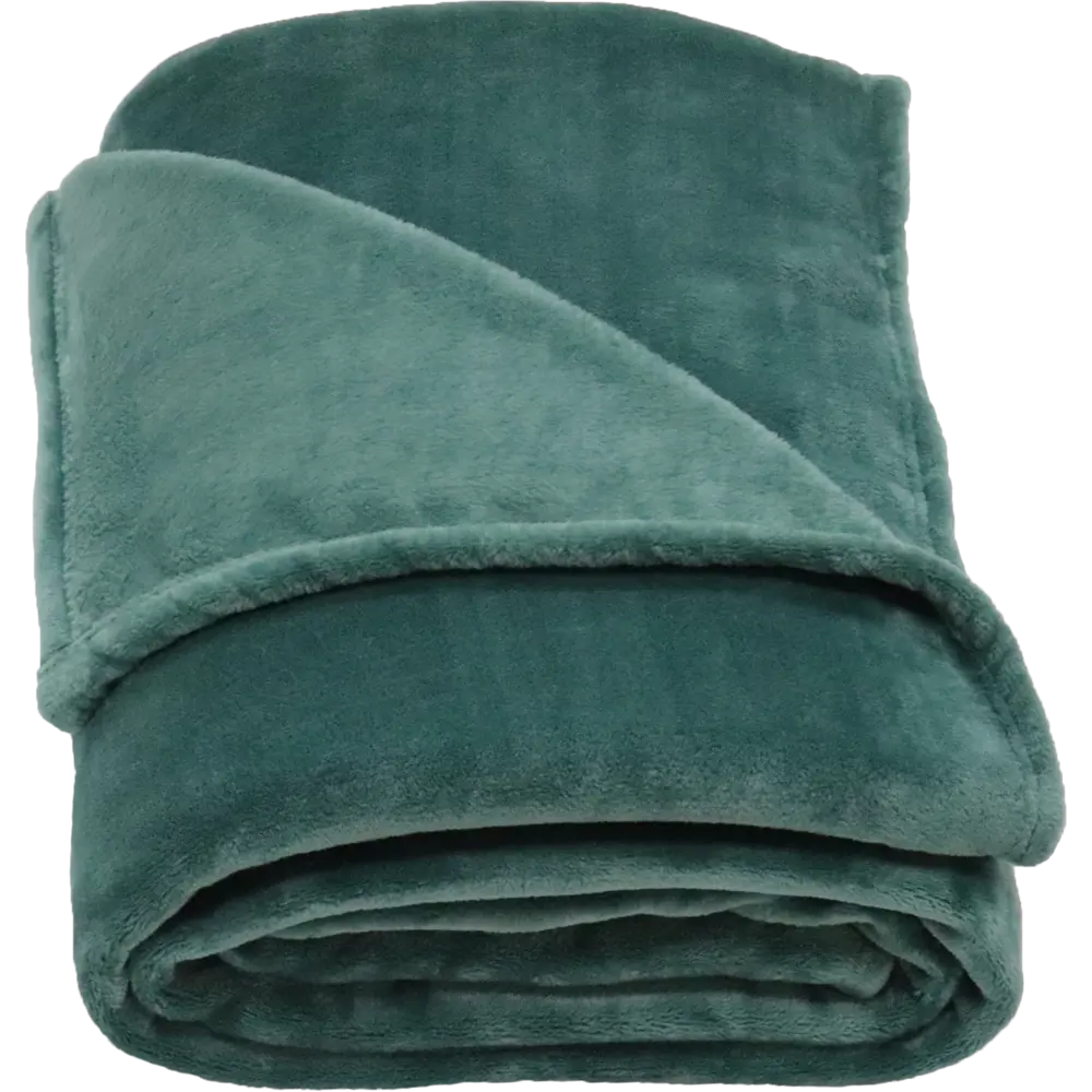 Плед Jimena 180x200 см фланель зелёный Santreyd STLM-2178838 - Вид №2