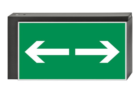 DST-870 Lisu pennant Daisalux Светильники аварийные Металлический Серый 