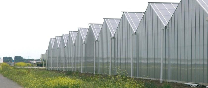 SABIC Многослойный лист с высокой изоляцией Lexan™ thermoclear™ sun-id-1391057 - Вид №1