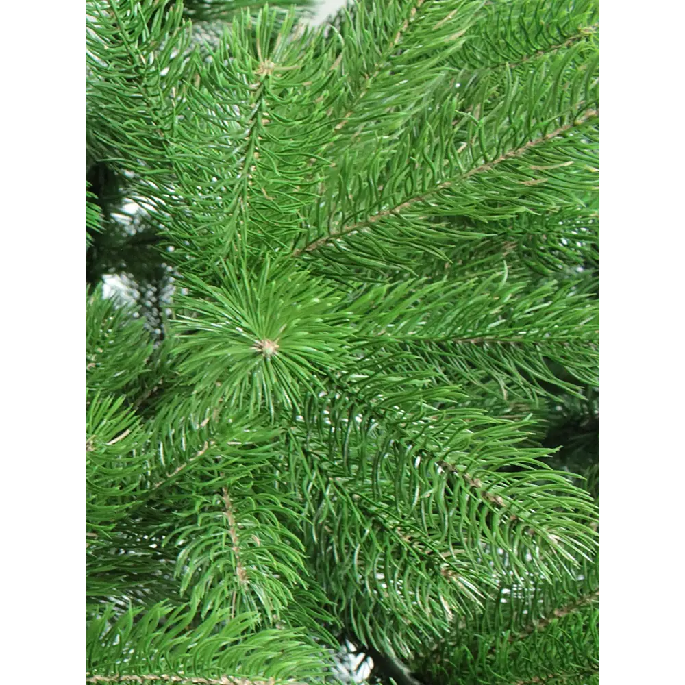 Ель новогодняя искусственная Камелия 600 см BEATREES STLM-2045271 - Вид №1
