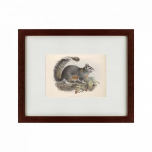 Картина: The Squirrel, 1879 КАРТИНЫ В КВАРТИРУ  135711 Разноцветный