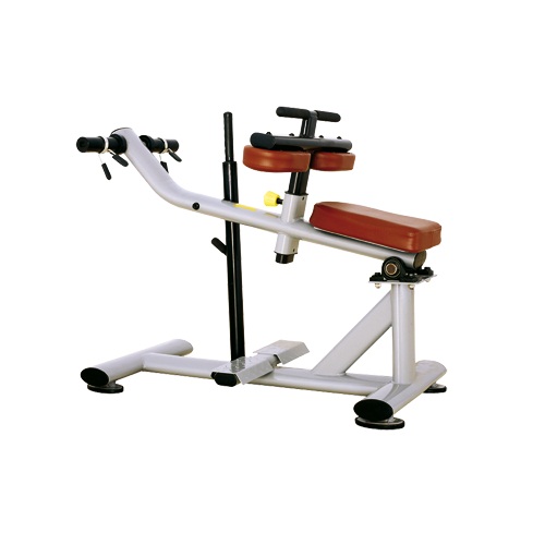 H-029 Bronze gym h-029 голень сидя Bronze Gym H серия 